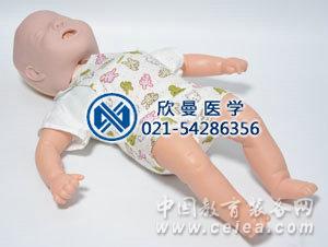 嬰兒梗塞模型整體結(jié)構(gòu)